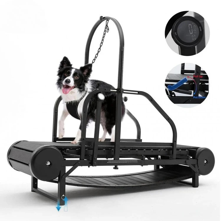 A mechanical pet treadmill for home use that requires no electricity and is suitable for dogs of all sizes